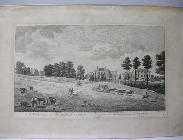 A view taken on Twickenham Common