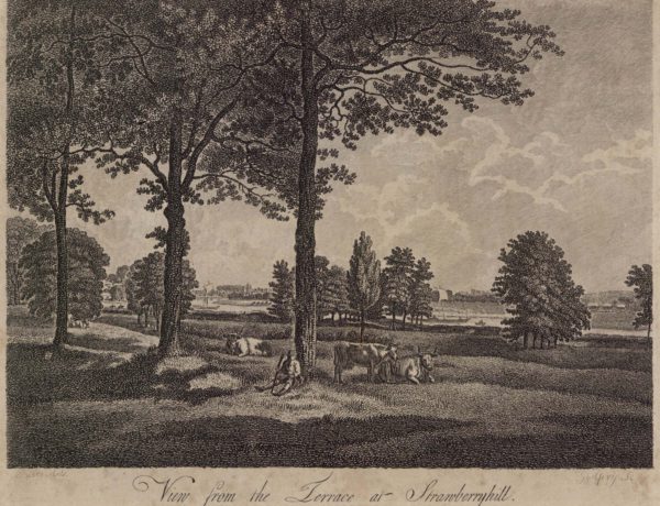 View from the Terrace at Strawberry Hill