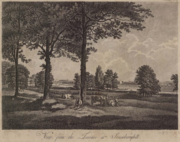 View from the Terrace at Strawberry Hill
