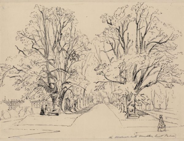 The Hornbeam Walk at Hampton Court