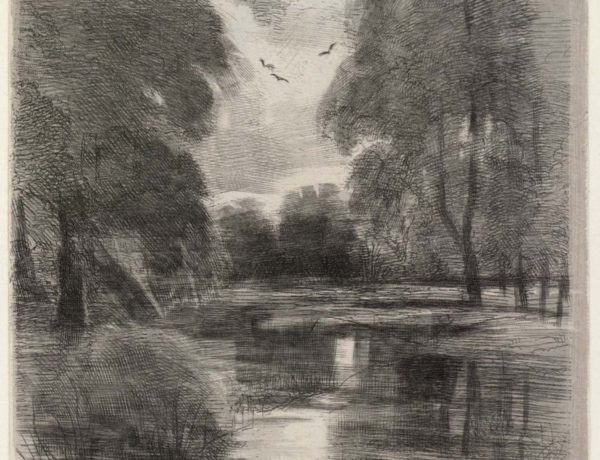 In Hampton Court Gardens