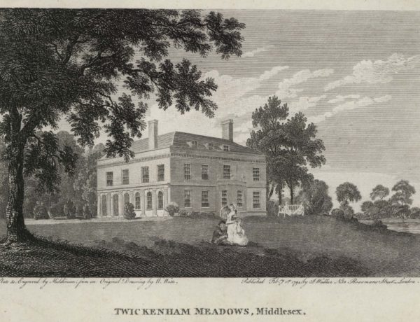 Twickenham Meadows Middlesex