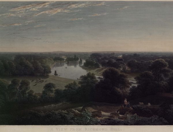 A View from Richmond Hill