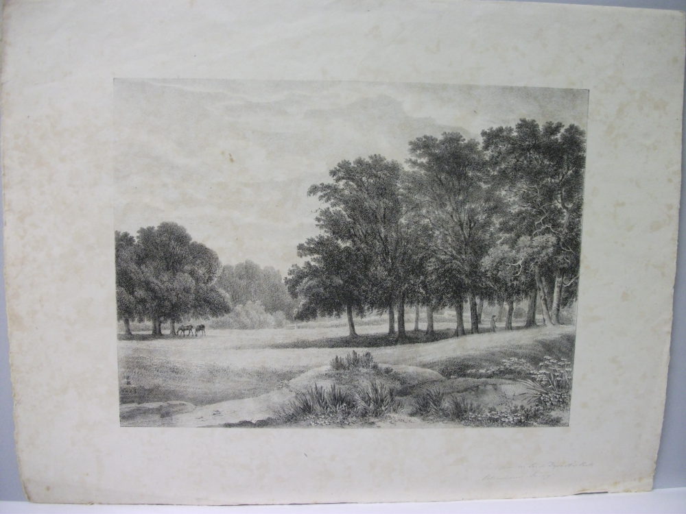 The Copse in Lord Dysant’s Park