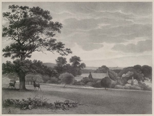 Bog Lodge, Richmond Park