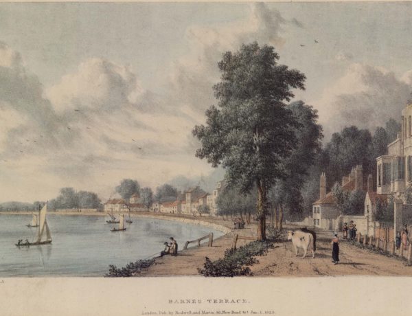 Barnes Terrace