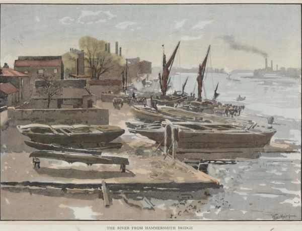 The River from Hammersmith Bridge