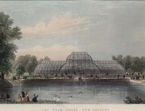 The Palm House, Kew Gardens
