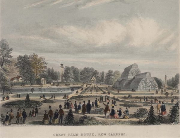 Great Palm House, Kew Gardens