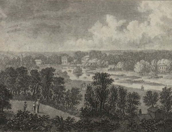 View from Richmond Hill Surrey