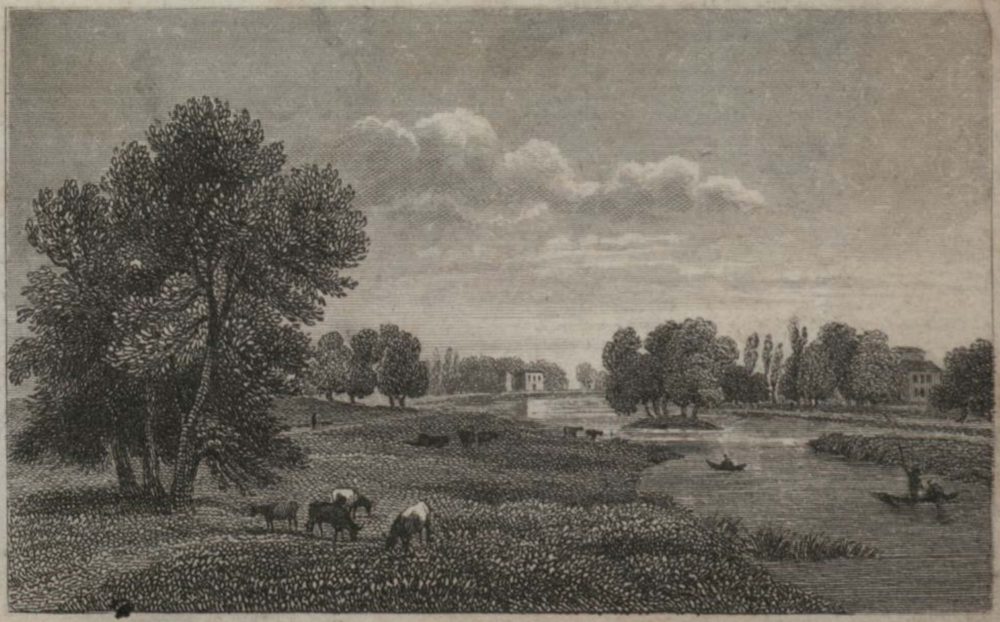 View near Richmond Surrey