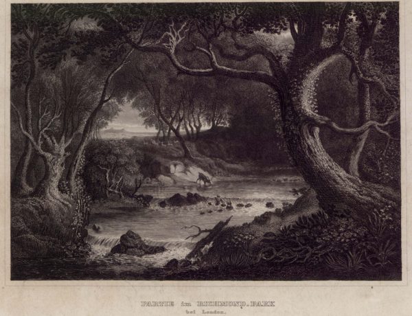 Partie in Richmond Park