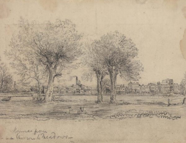 Barnes Terrace from Chiswick Meadows