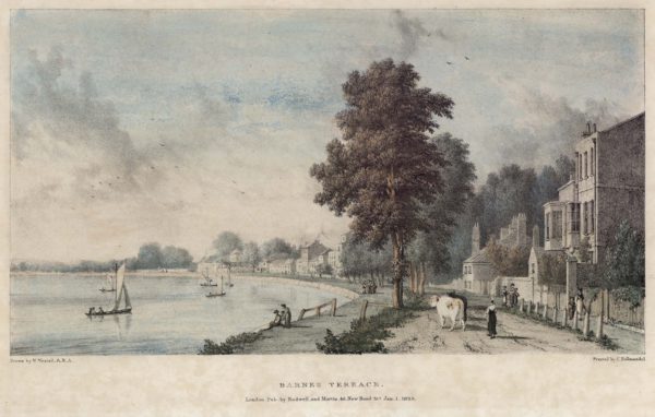 Barnes Terrace