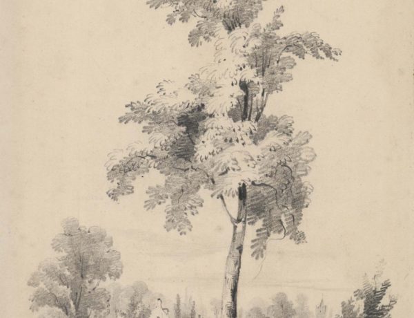 Barnes