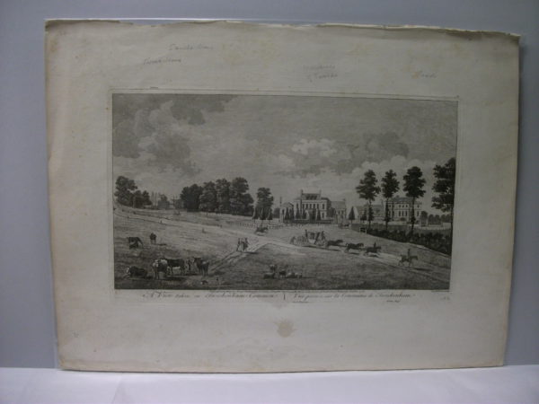 A view taken on Twickenham Common