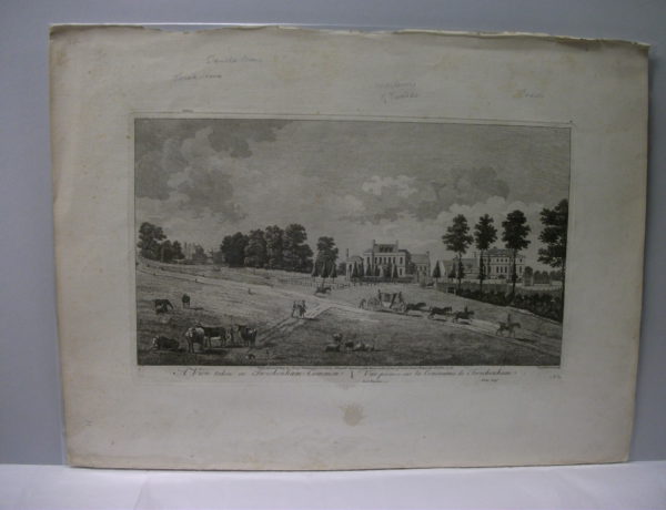 A view taken on Twickenham Common