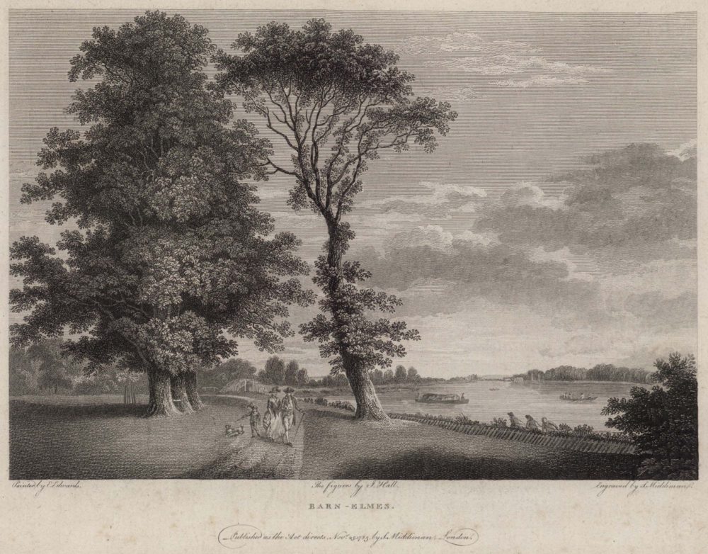 Barn Elms
