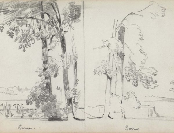 Barnes / Barnes