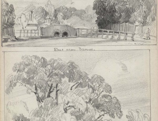 Barnes Common / Elms near Barnes