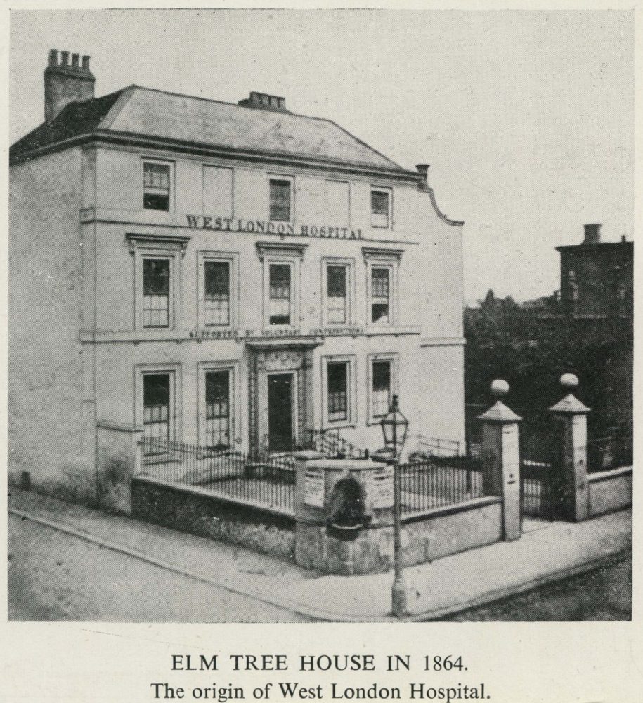Elm Tree House