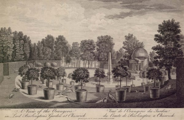 A View of the Orangerie in Lord Burlington’s Garden at Chiswick