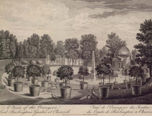 A View of the Orangerie in Lord Burlington’s Garden at Chiswick