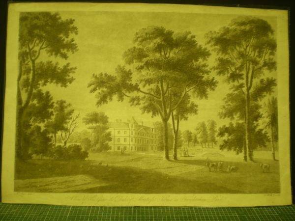 A View of His Grace the Duke of Montrose’s House in Twickenham Park