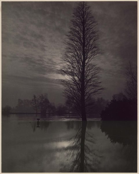 Evening
