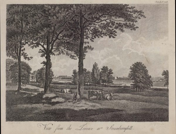 View from the Terrace at Strawberry Hill
