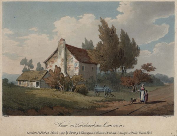 View on Twickenham Common