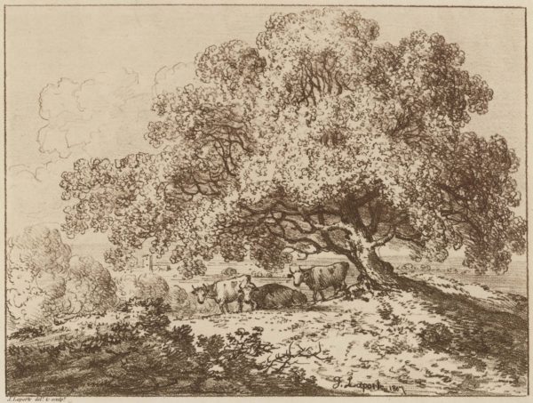 In Richmond Park