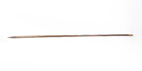 Pike