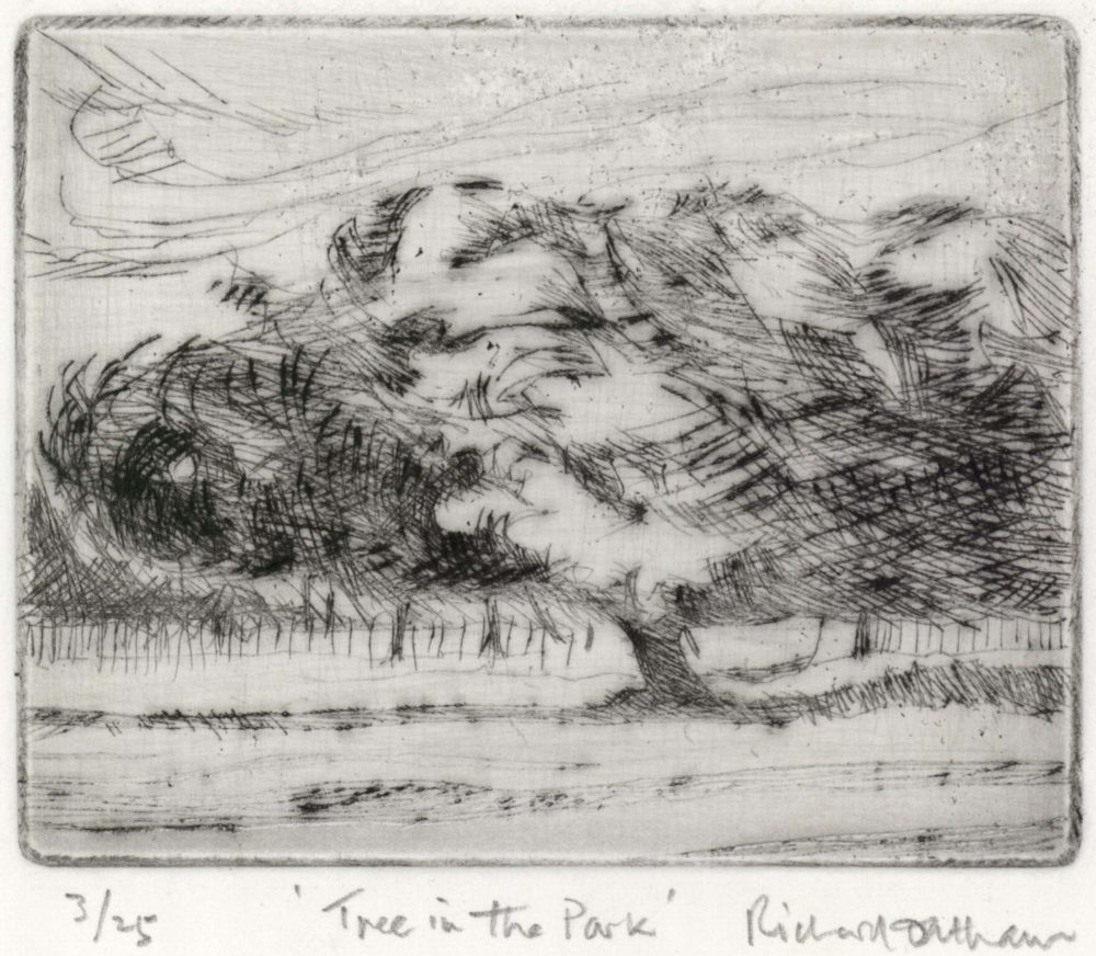 Tree in the Park