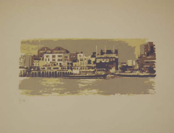 Farne Island Boat Trips