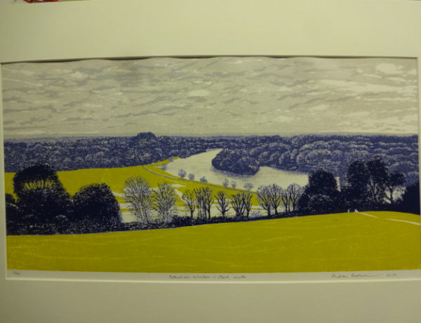 Petersham Meadow in flood, winter