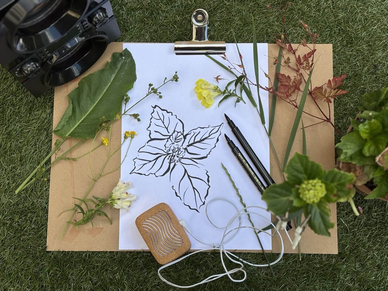 Listening with Plants: A Collective Sound Drawing workshop